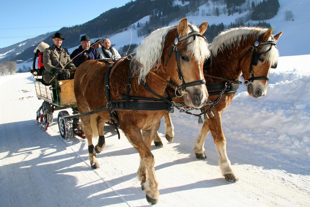 Haus Alpina Ski In & Ski Out Schladming Kültér fotó