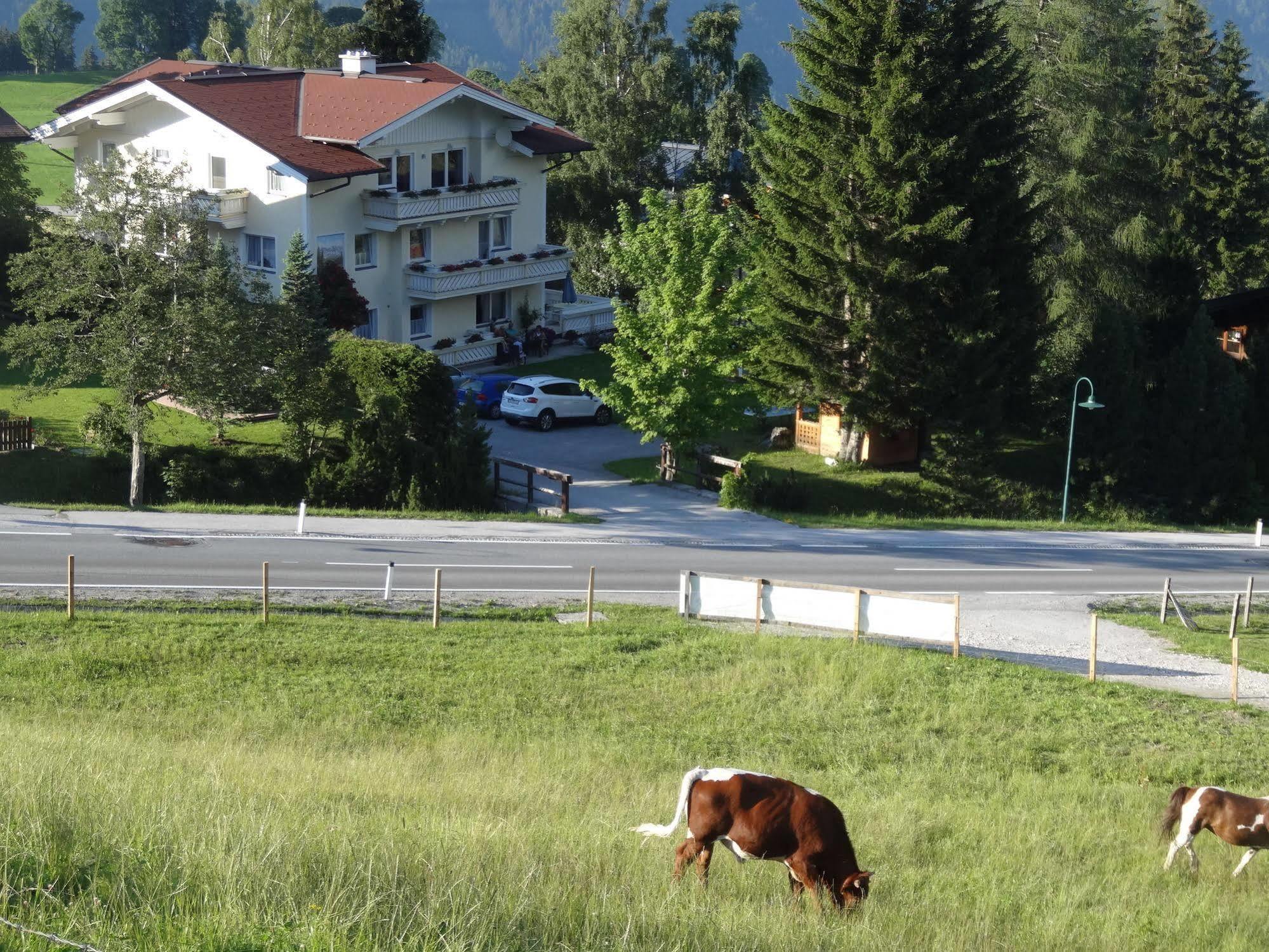 Haus Alpina Ski In & Ski Out Schladming Kültér fotó